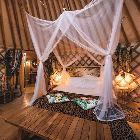 2 Cuori E 1 Yurta Glamping In Tuscany - Adults Only Asciano Kültér fotó