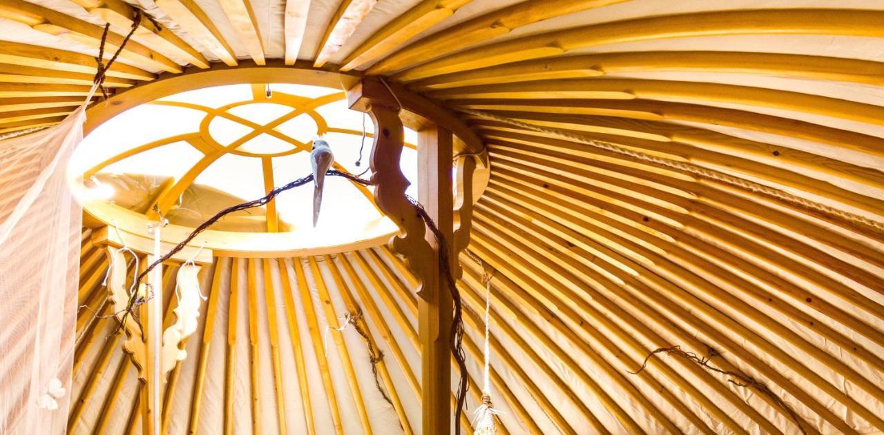 2 Cuori E 1 Yurta Glamping In Tuscany - Adults Only Asciano Kültér fotó
