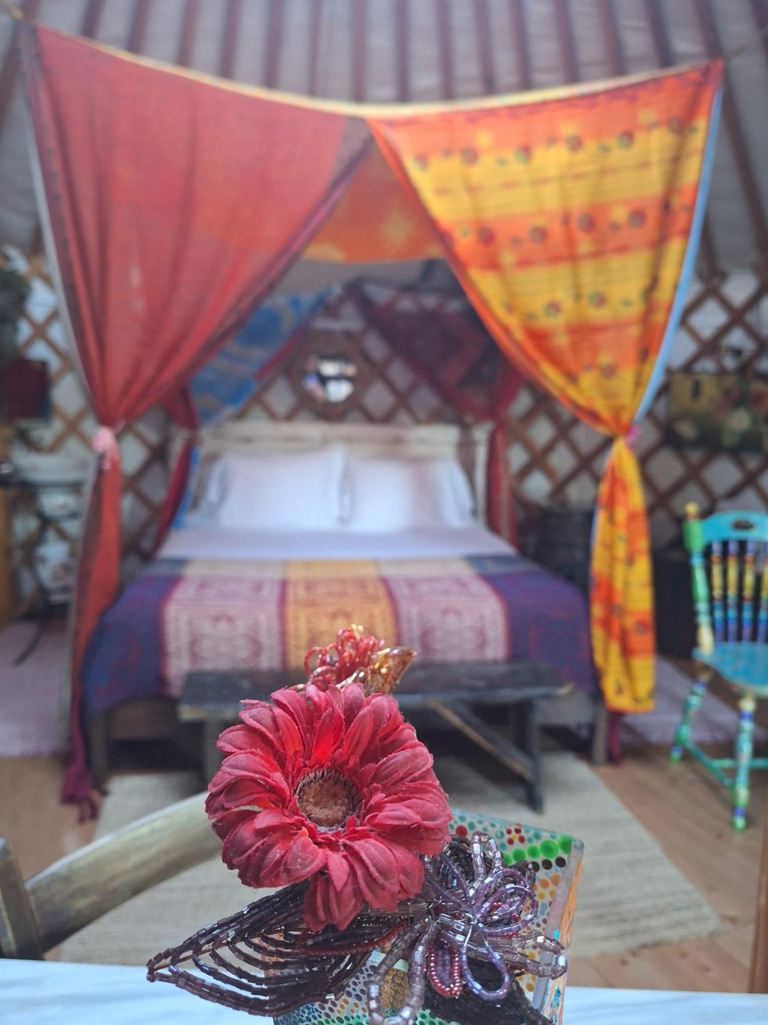 2 Cuori E 1 Yurta Glamping In Tuscany - Adults Only Asciano Kültér fotó